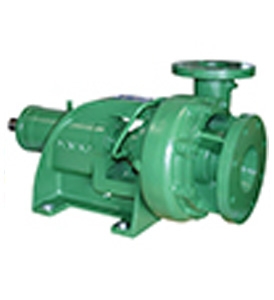 End Suction Pumps (Frame Mounted/ Close Coupled)- Deming